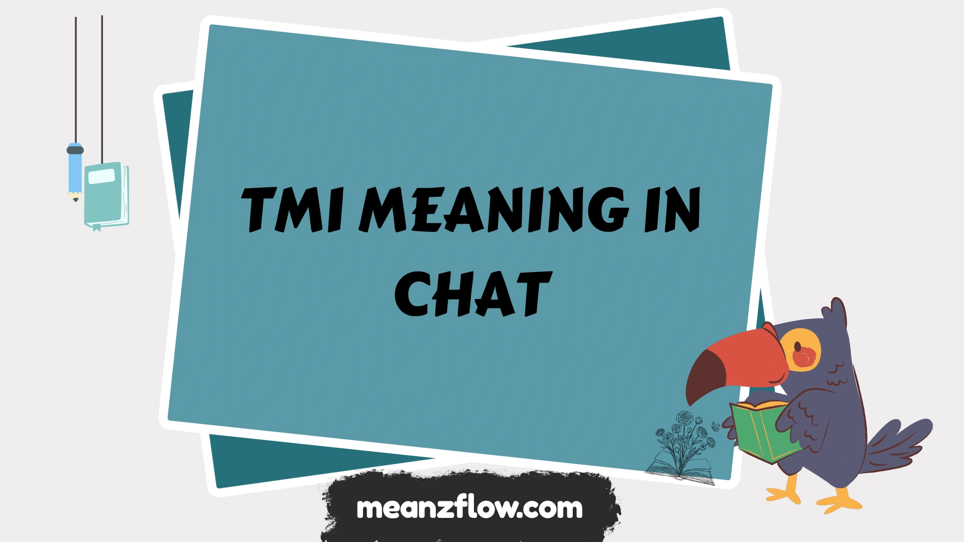 tmi meaning in chat