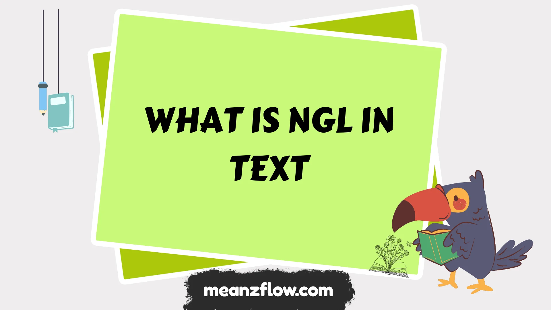 what is ngl in text