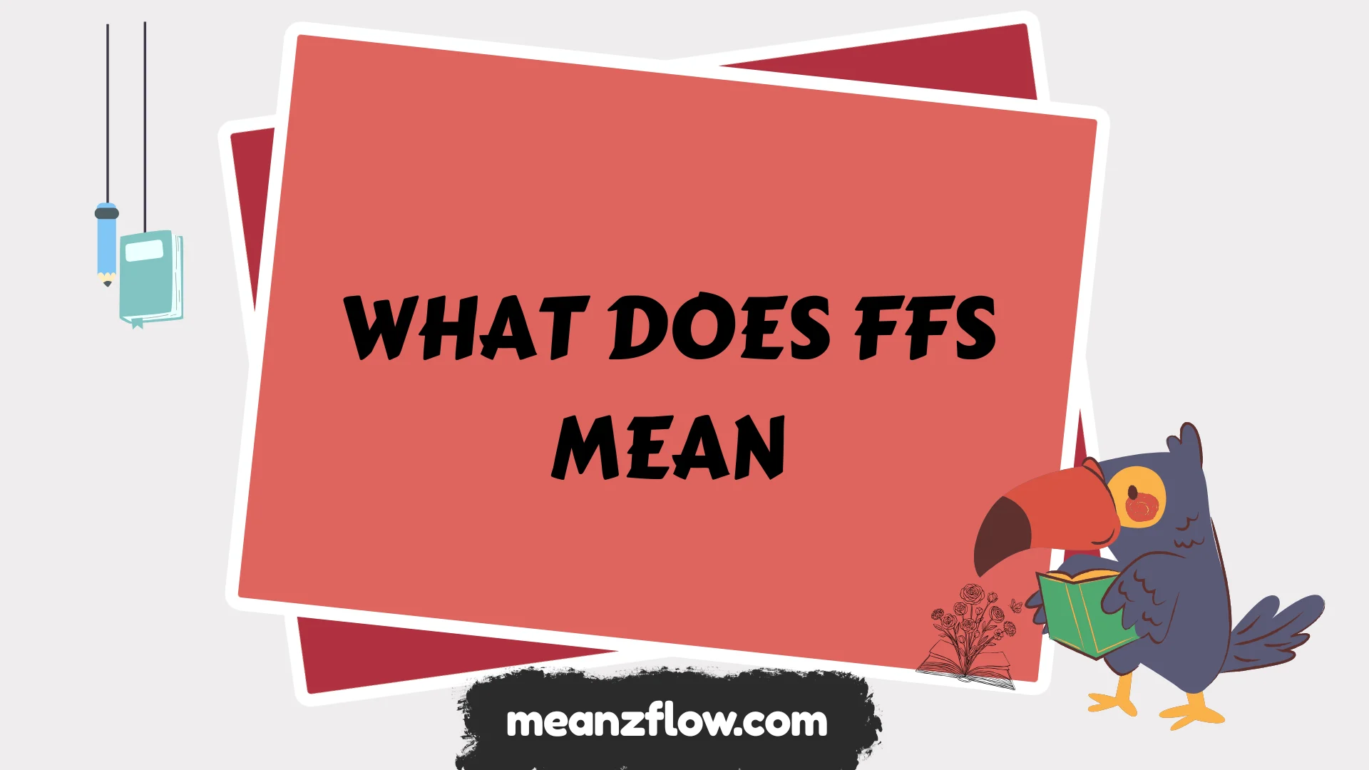 what does ffs mean