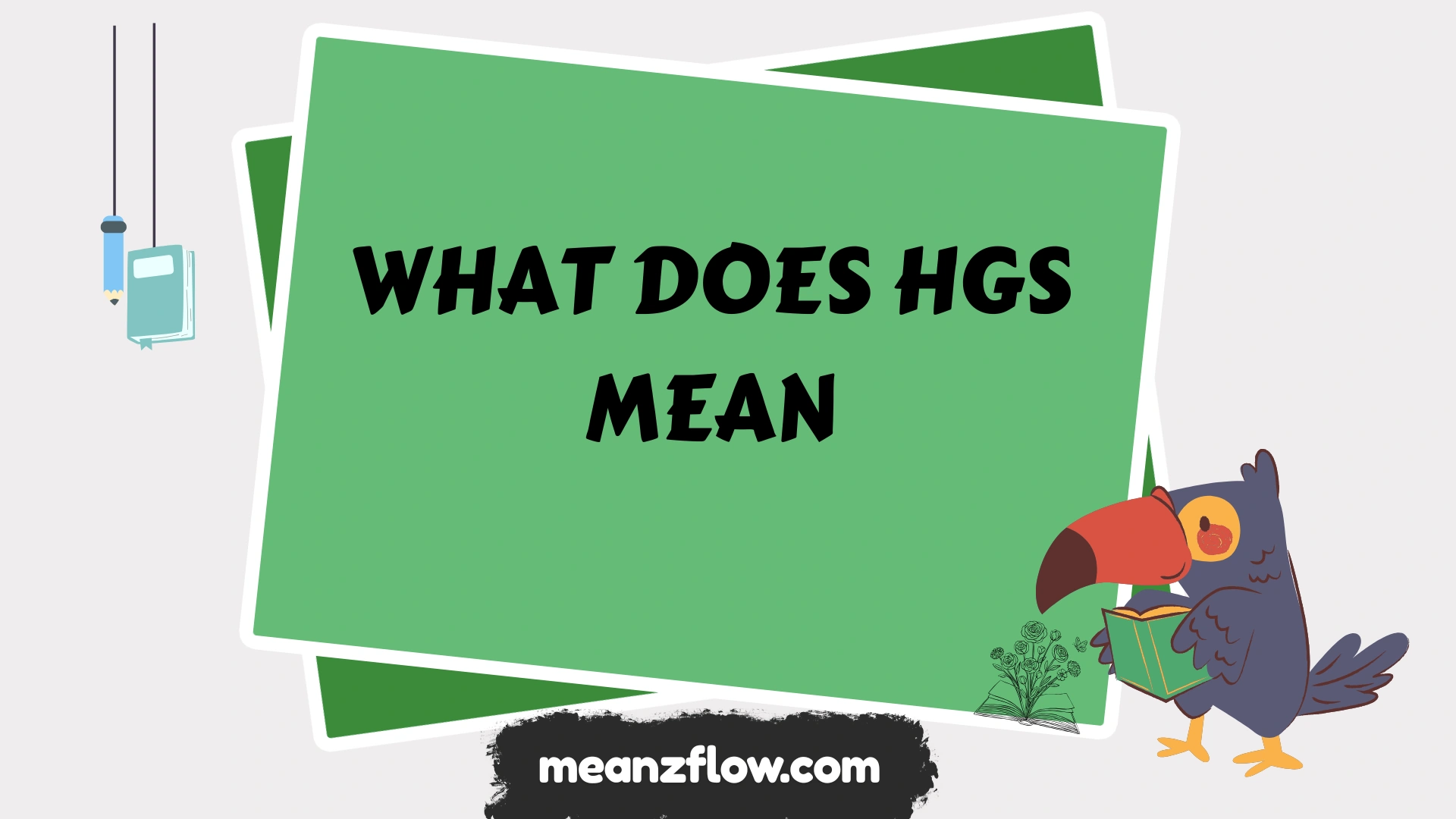 what does hgs mean