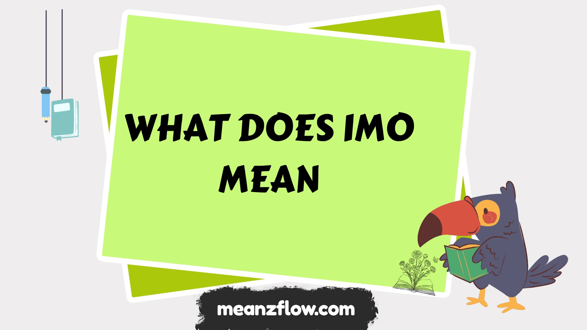 what does imo mean