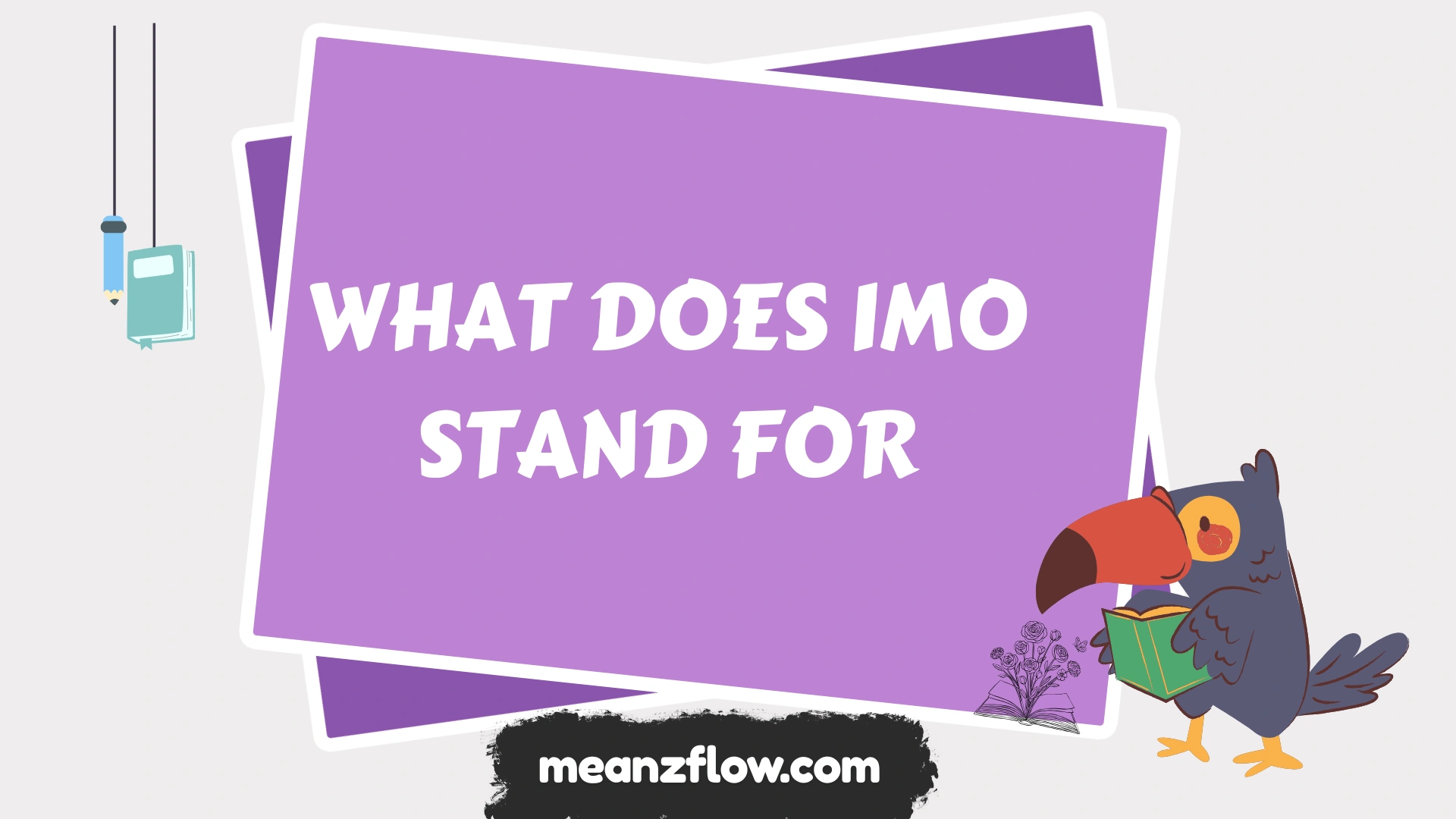 what does imo stand for