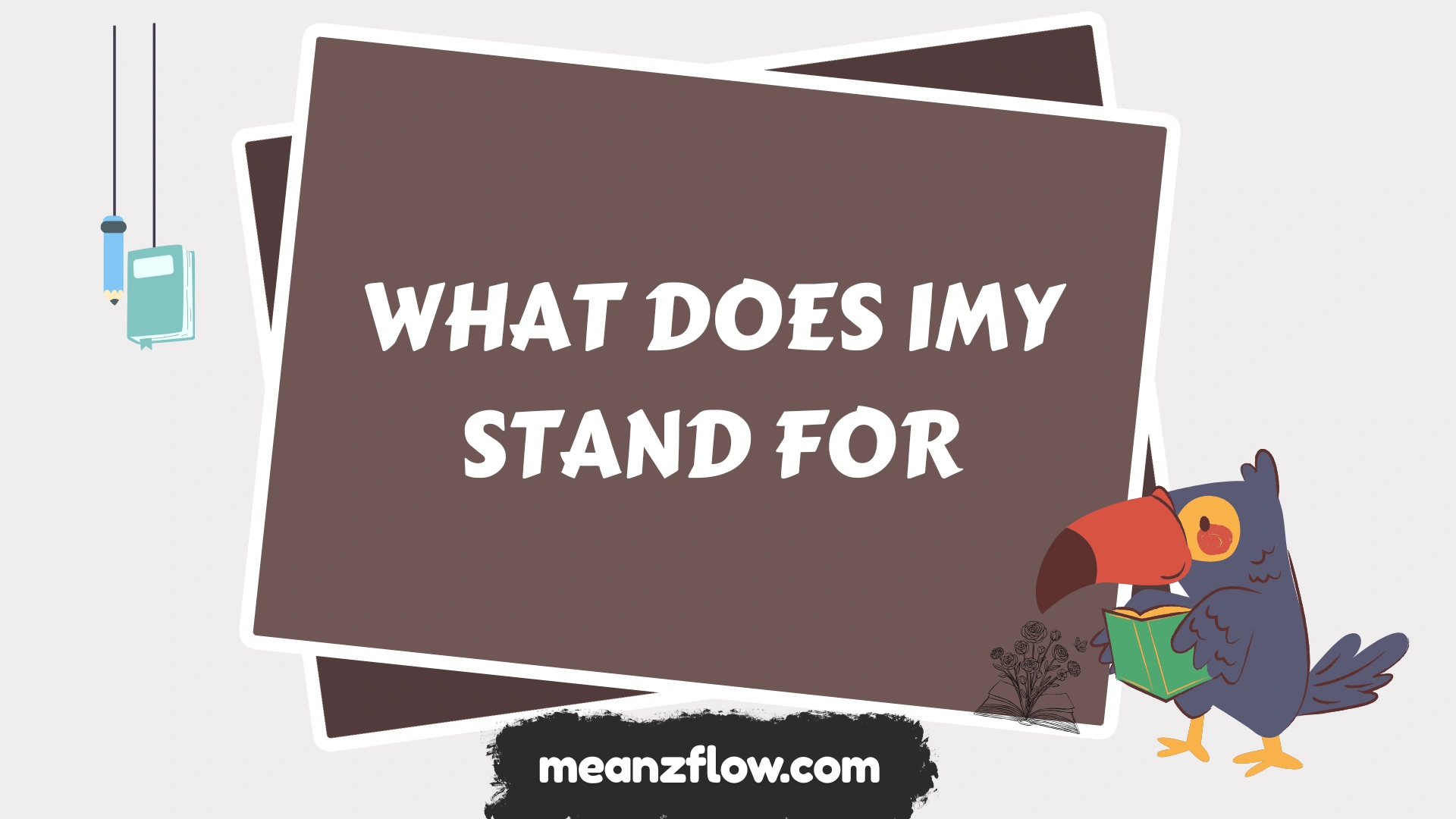 what does imy stand for