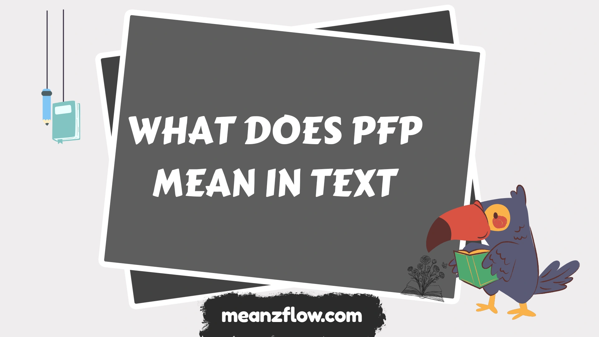 what does pfp mean in text