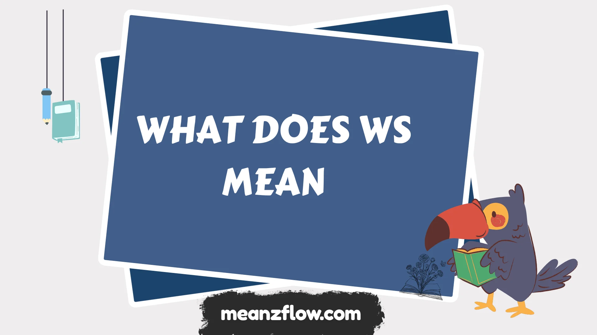what does ws mean