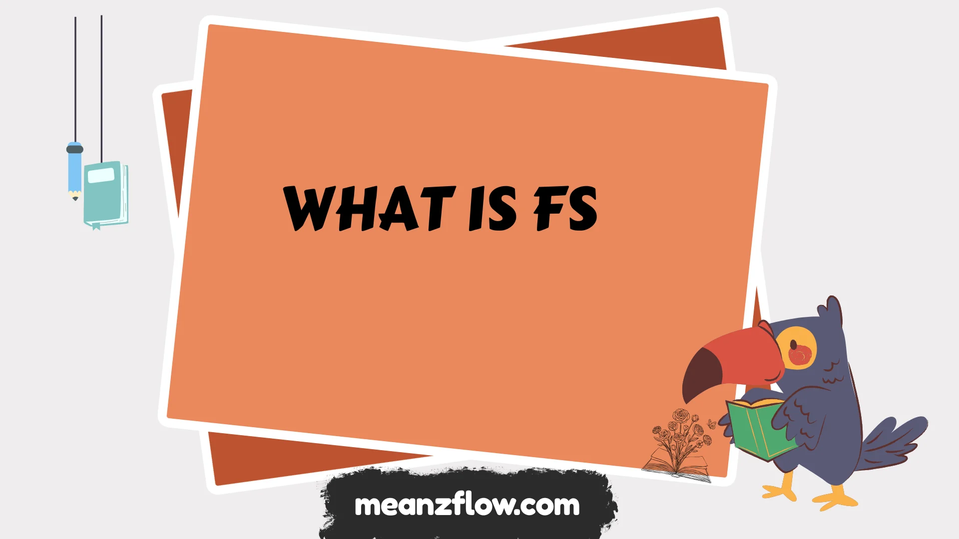 what is fs