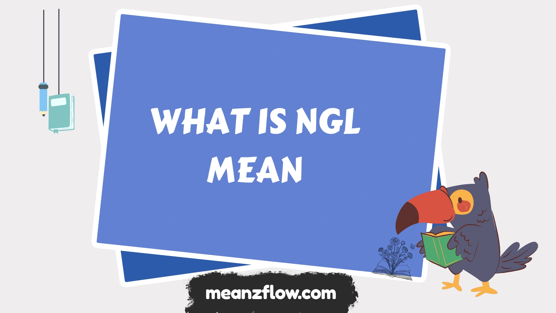 what is ngl mean