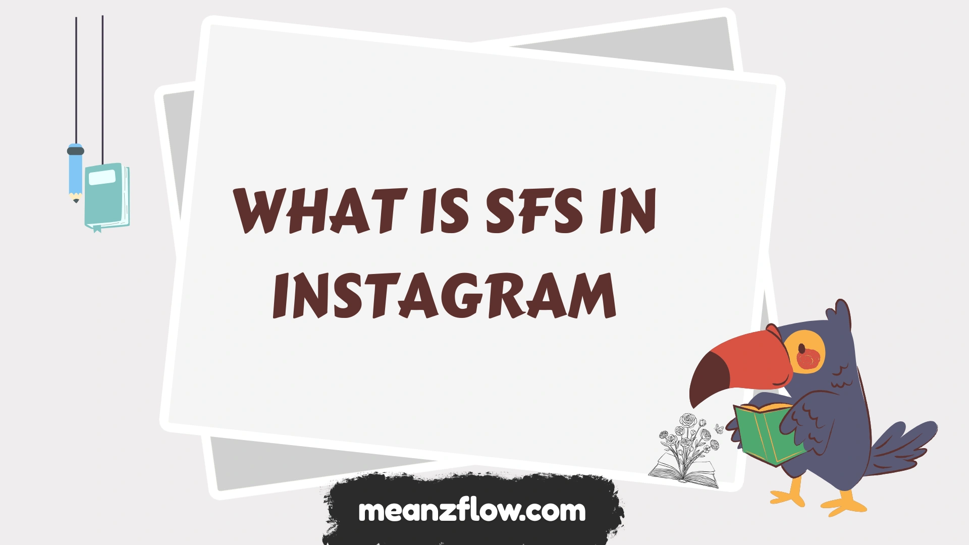 what is sfs in instagram