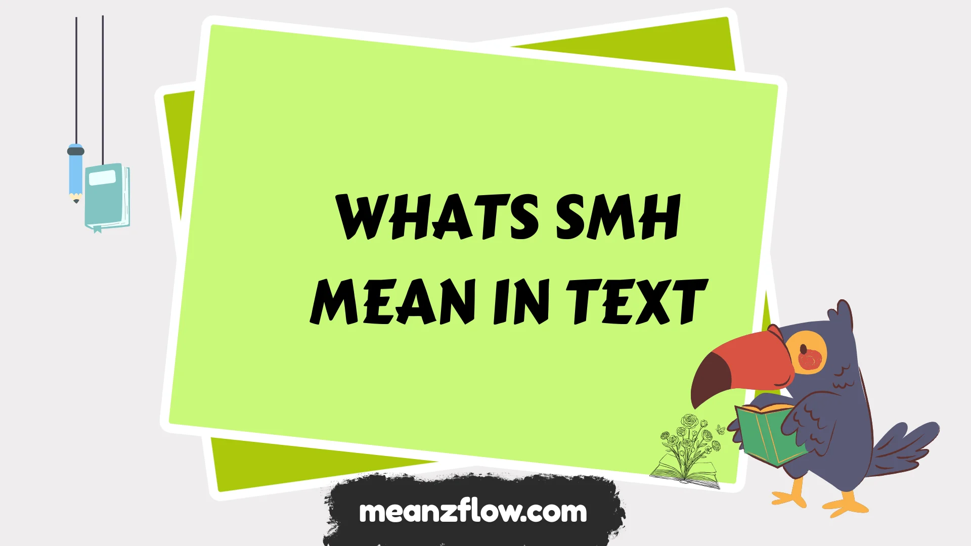 whats smh mean in text