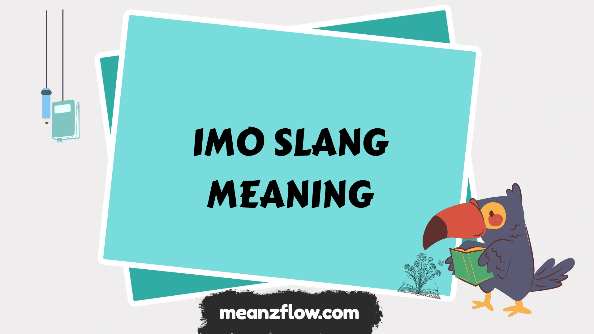 imo slang meaning