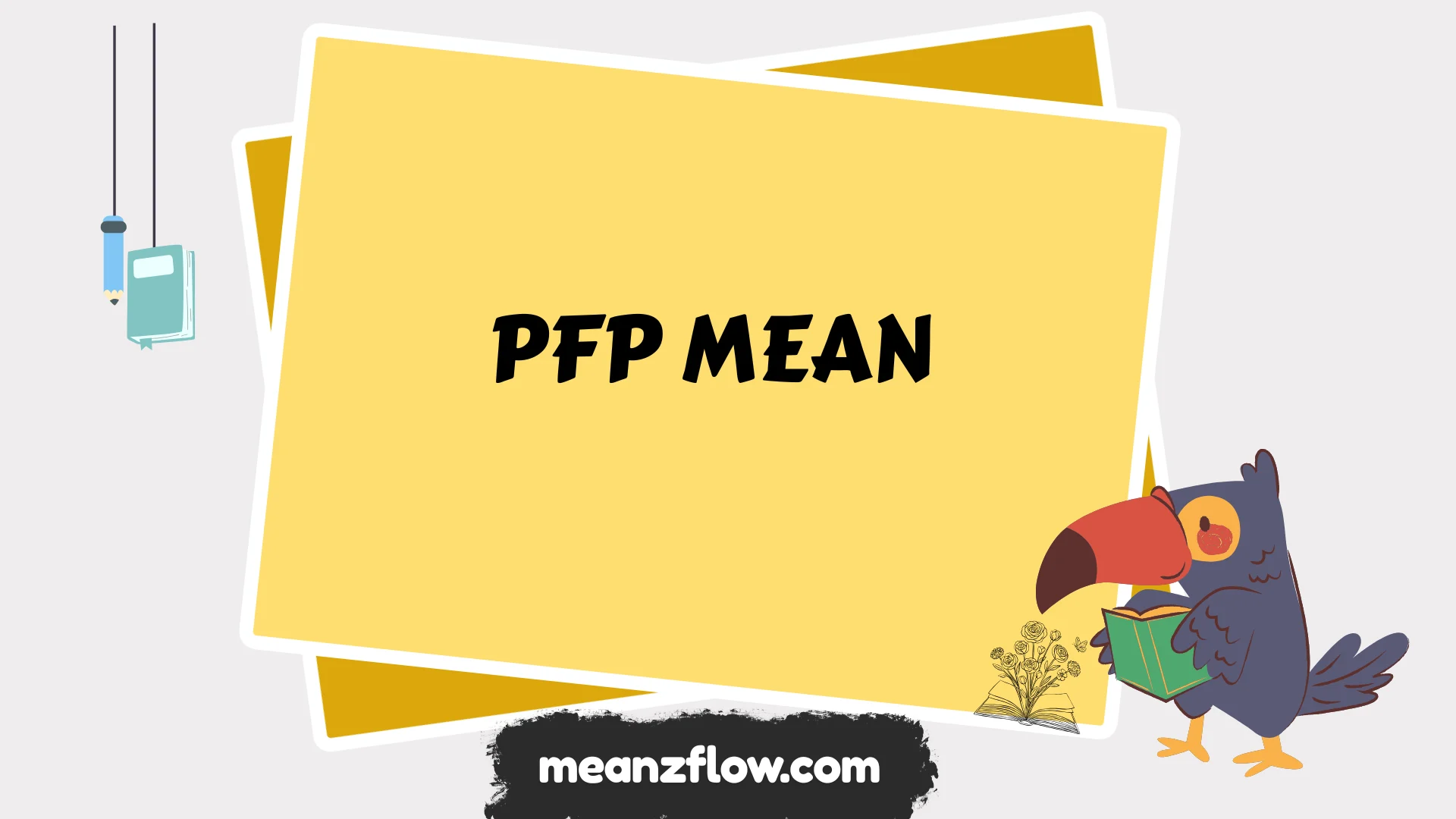 pfp mean