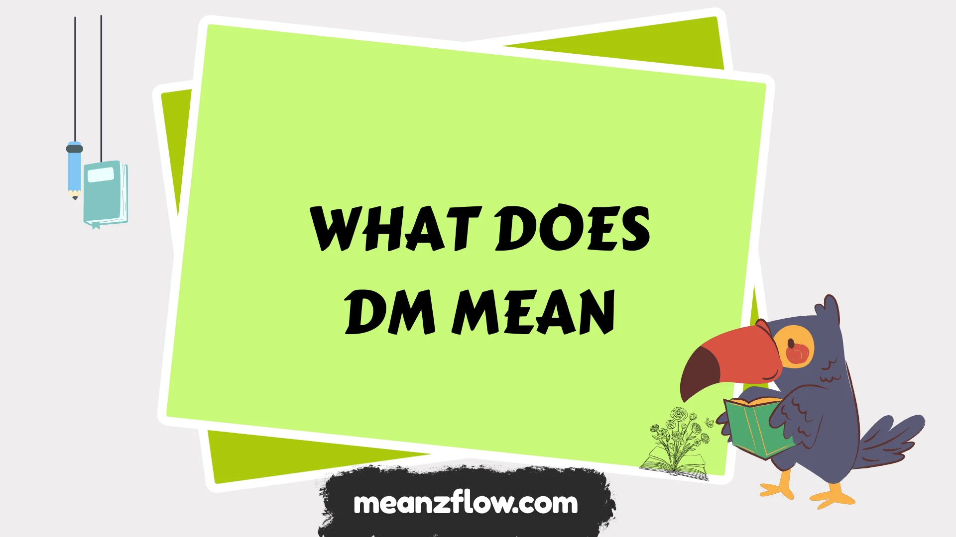 what does dm mean