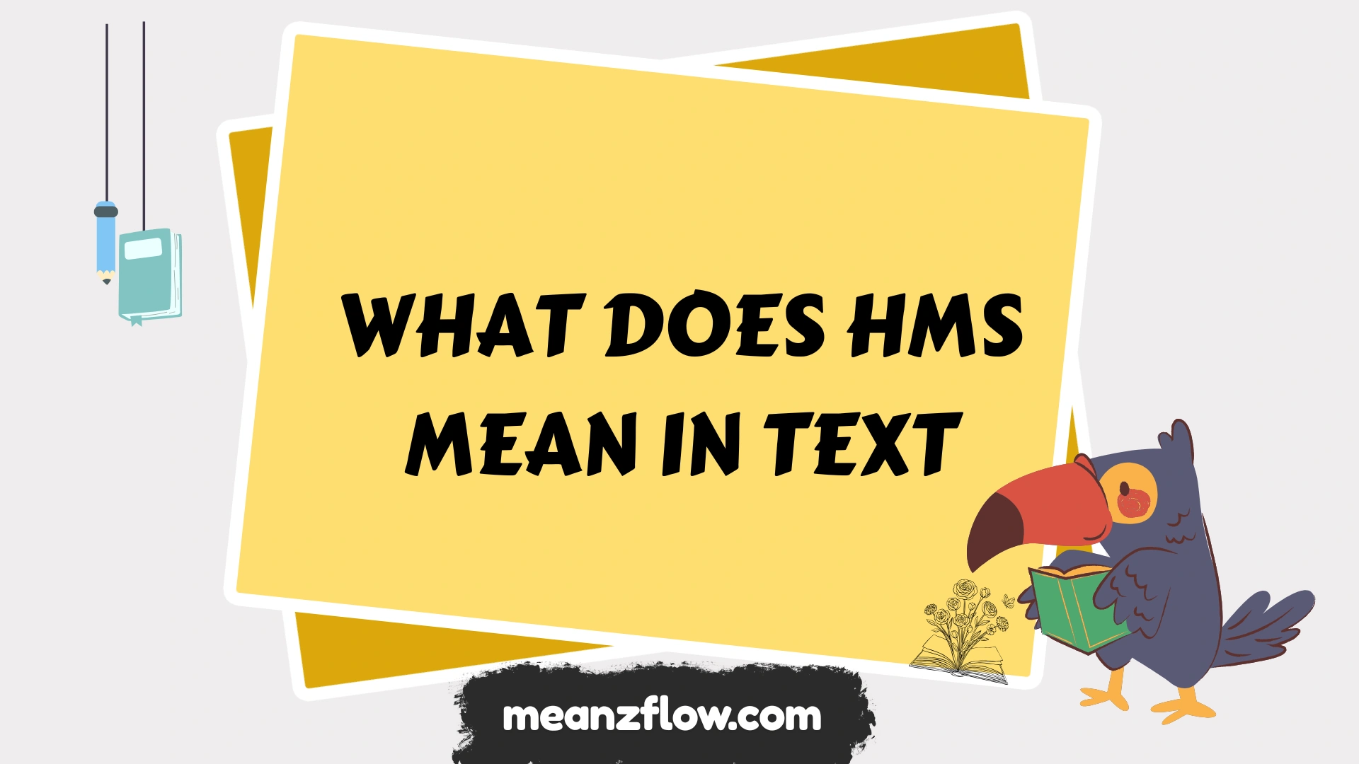what does hms mean in text