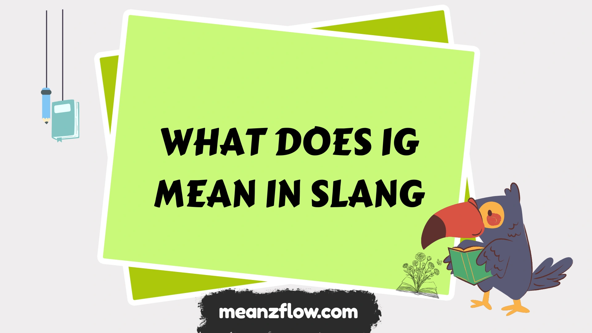 what does ig mean in slang