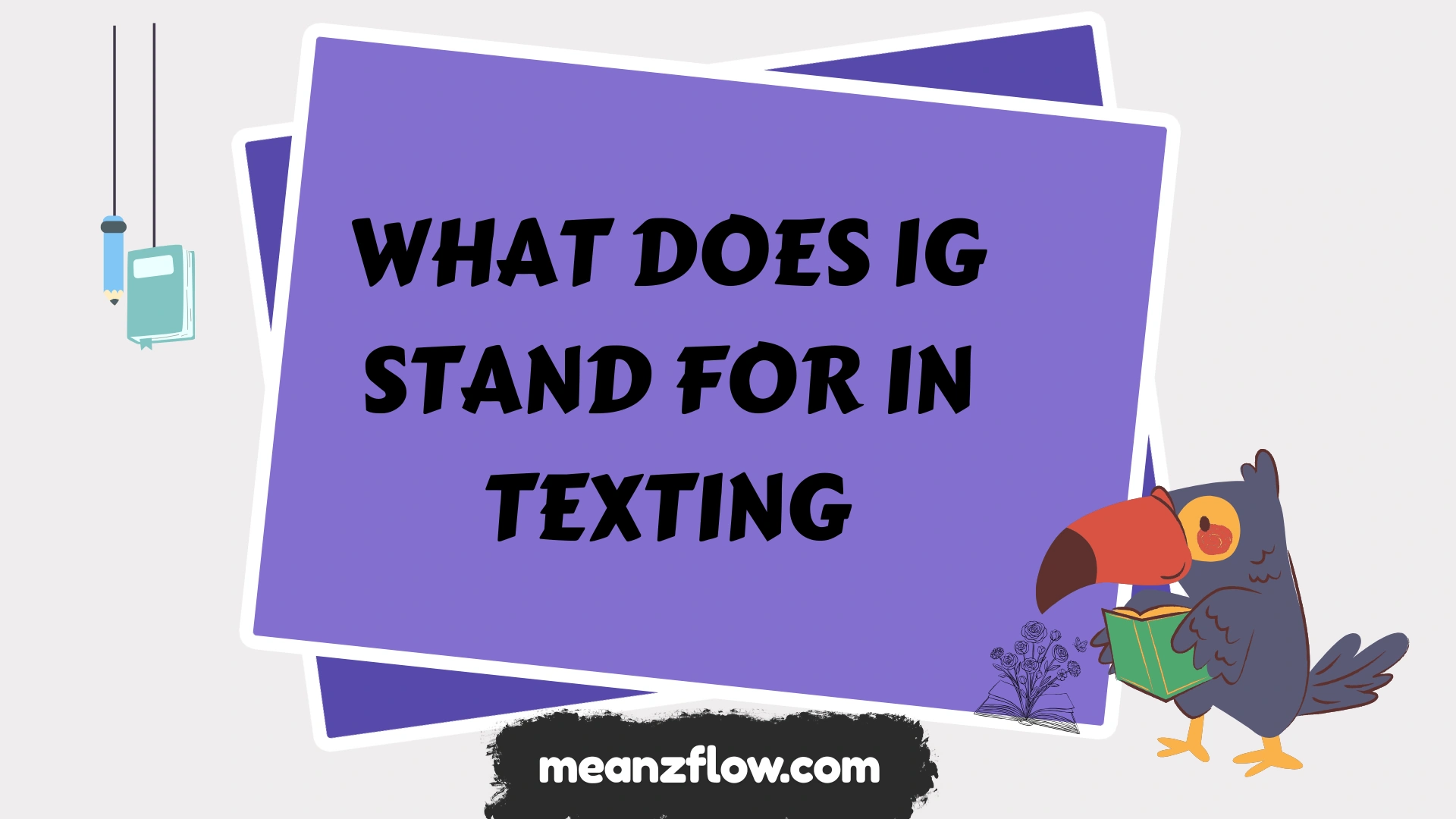 what does ig stand for in texting