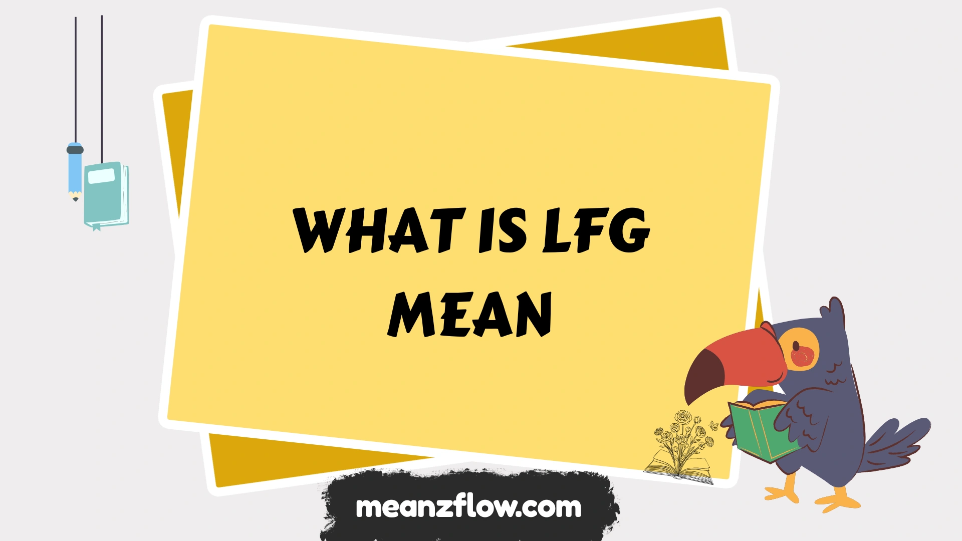 what is lfg mean