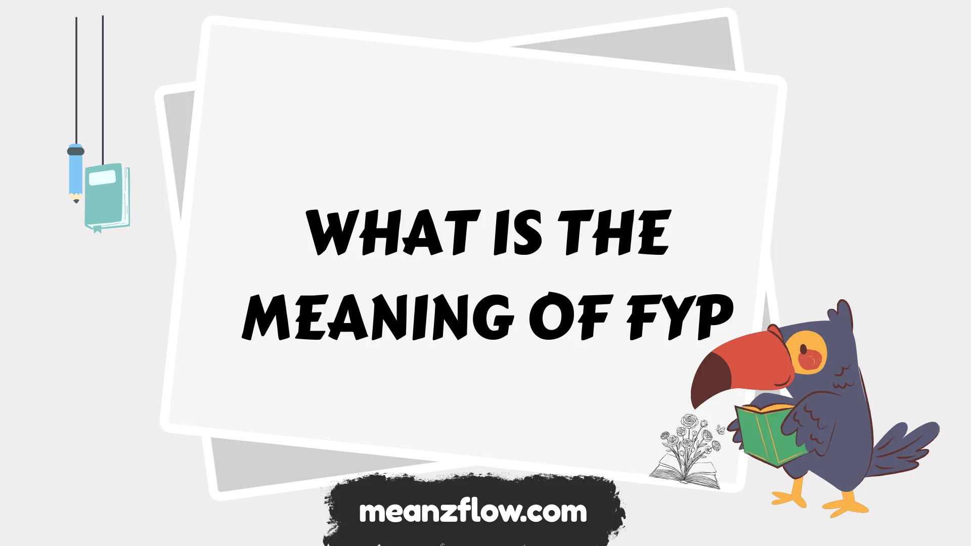 what is the meaning of fyp