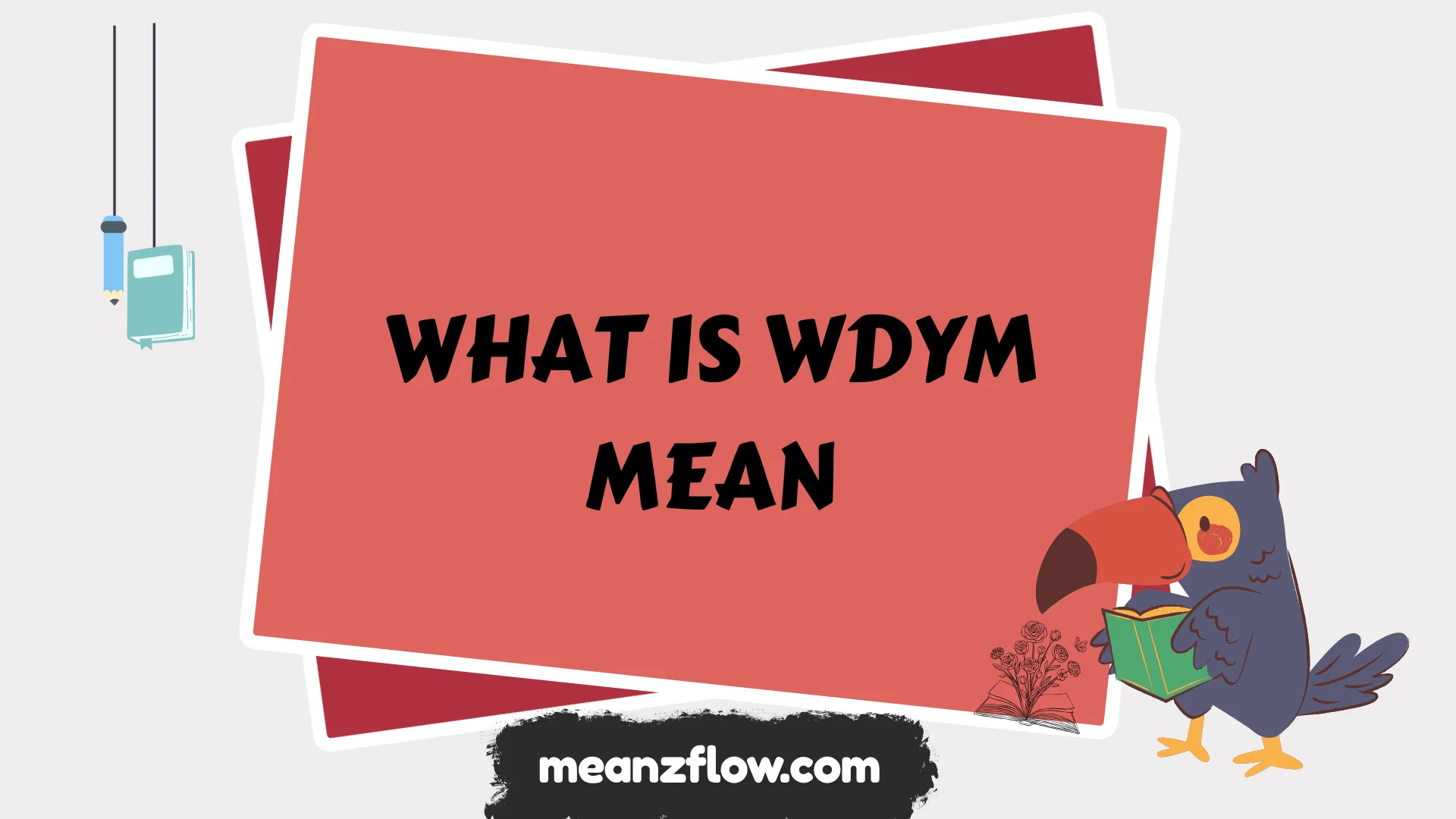 what is wdym mean
