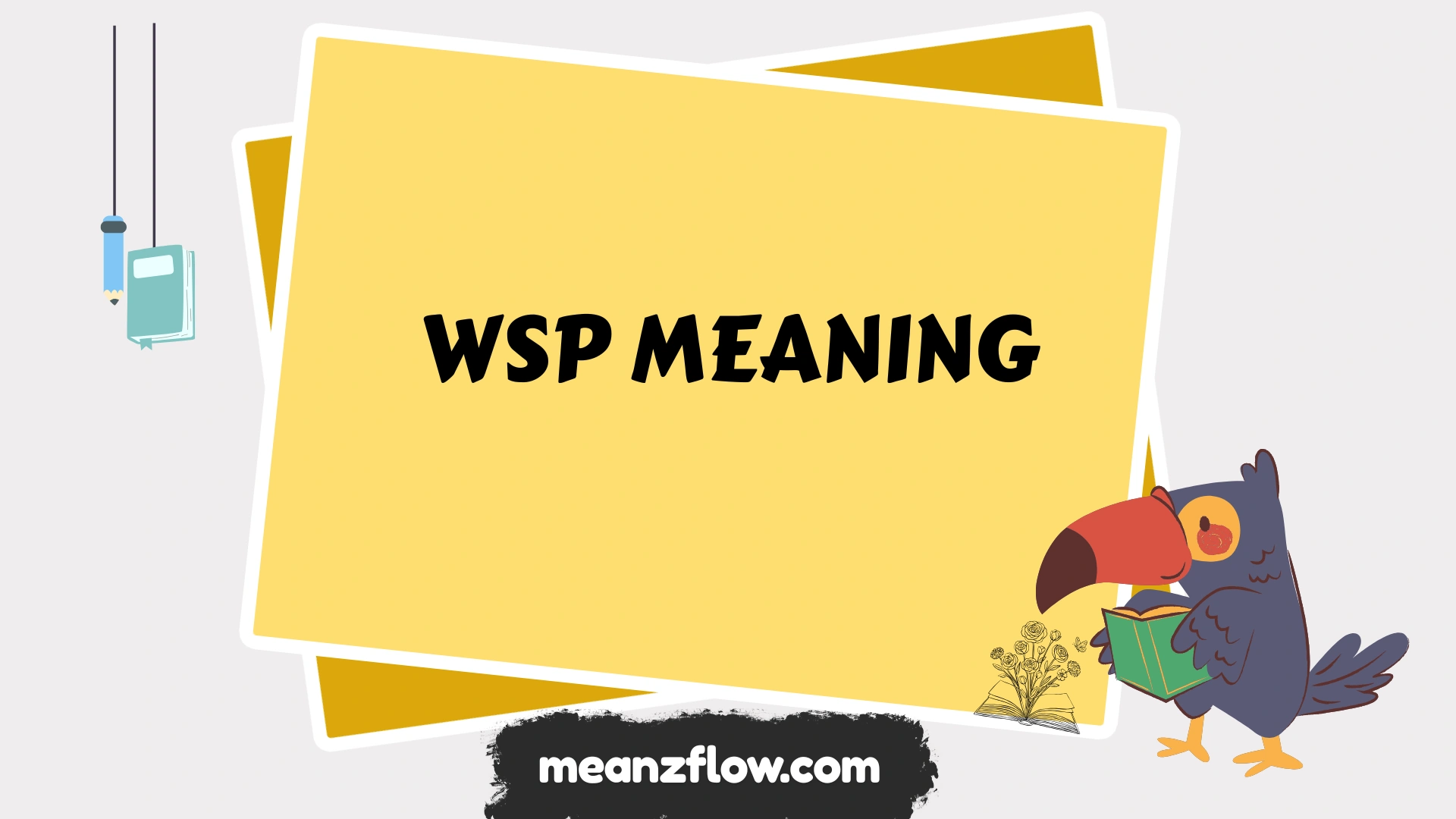 wsp meaning