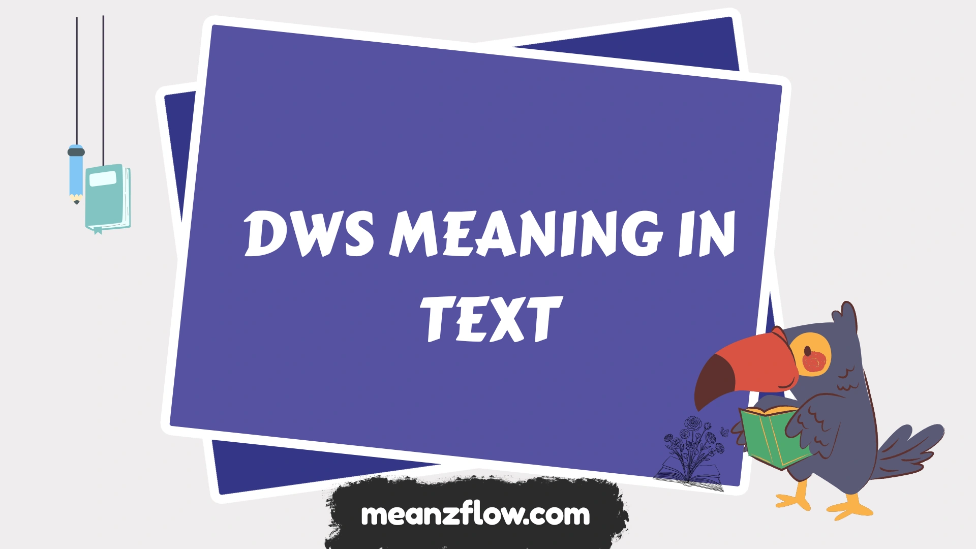 dws meaning in text