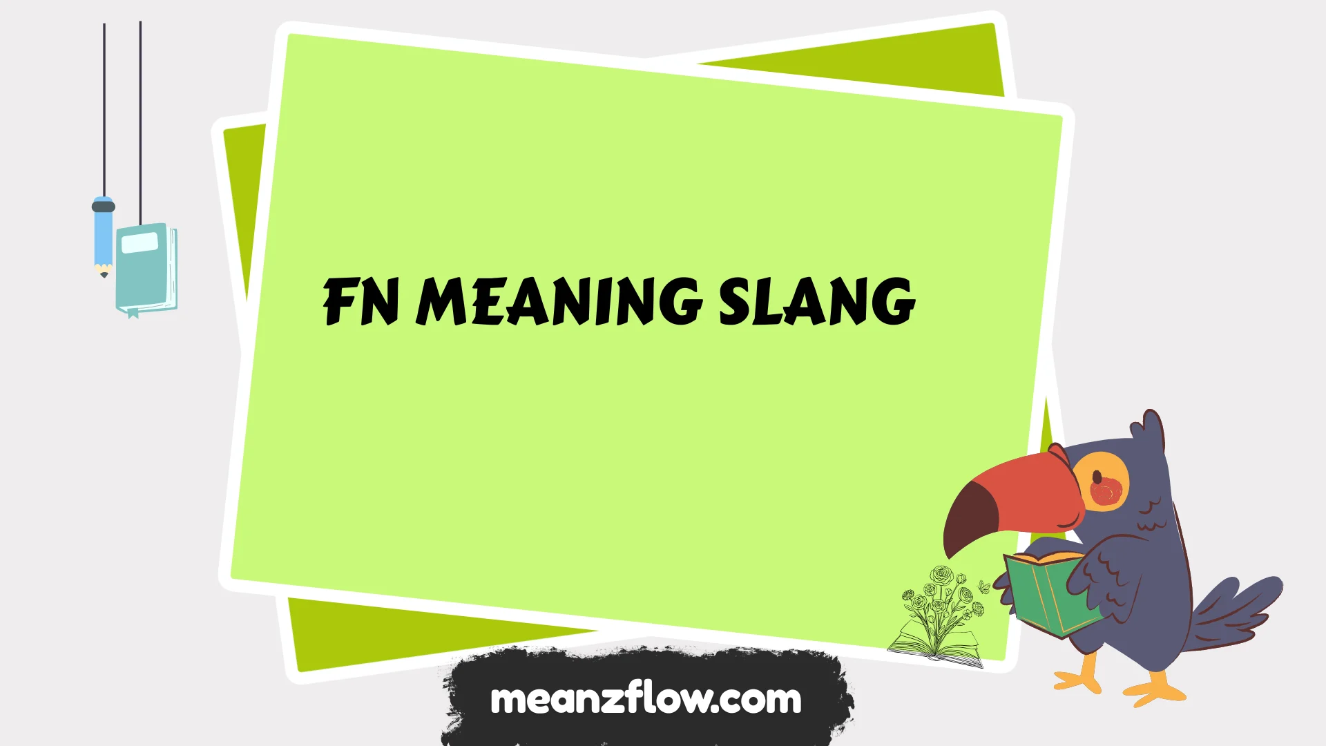 fn meaning slang