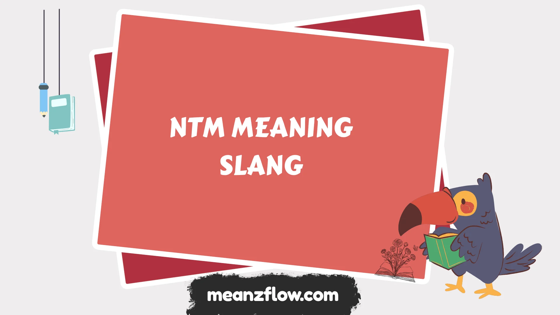 ntm meaning slang
