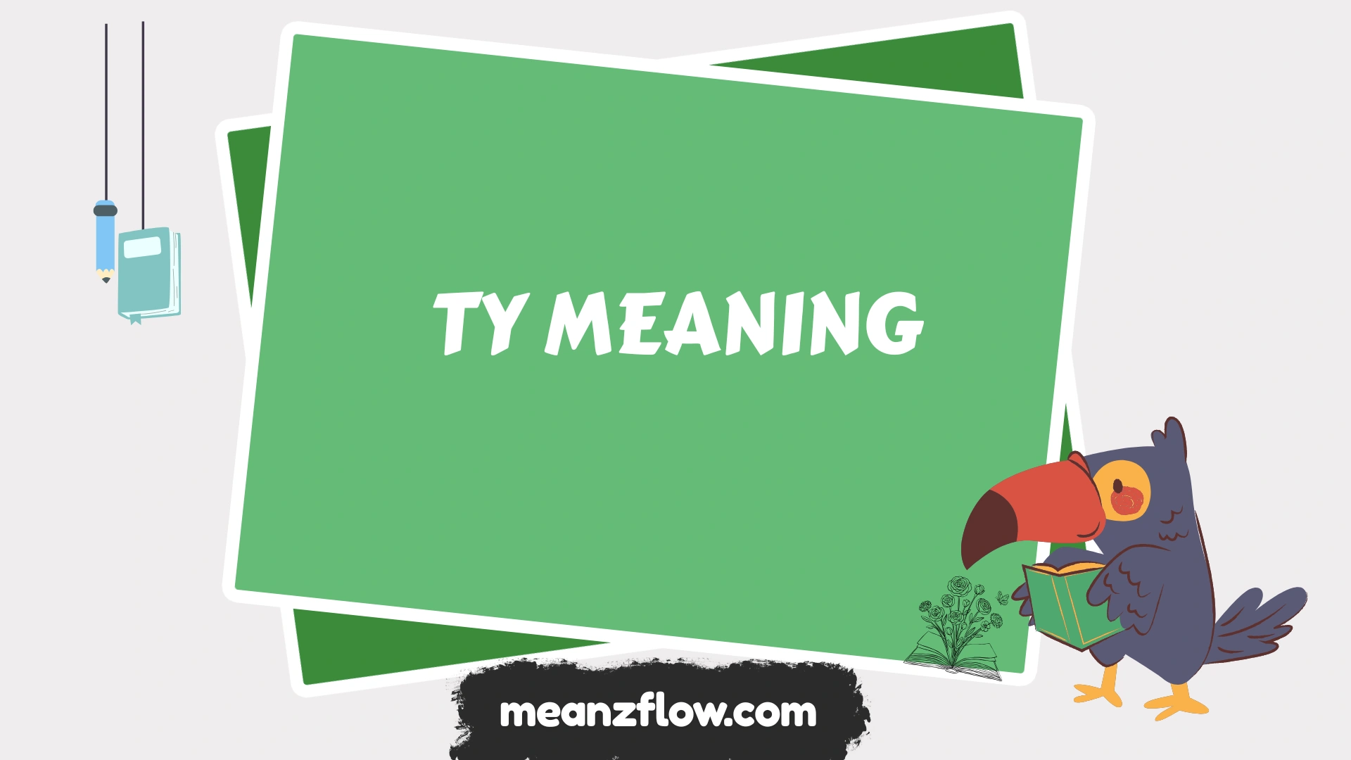 ty meaning
