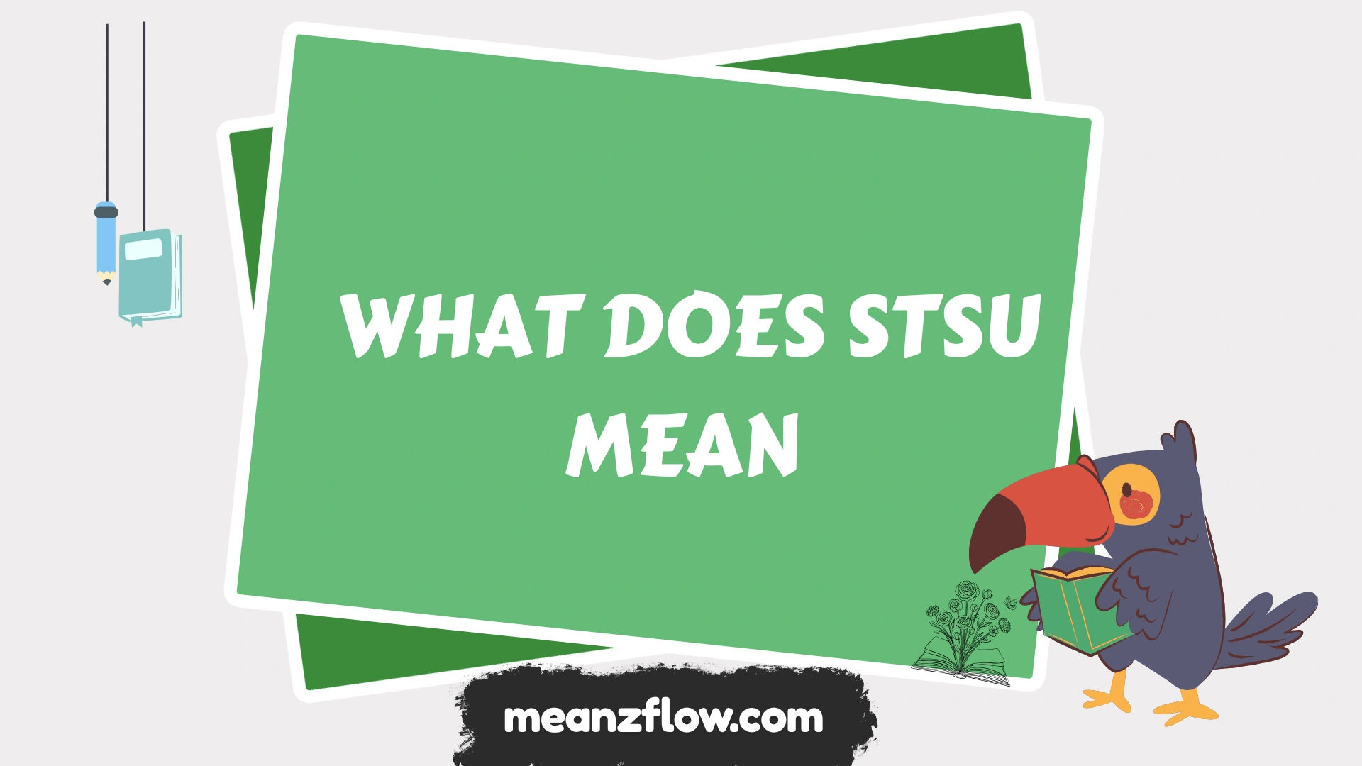 what does stsu mean