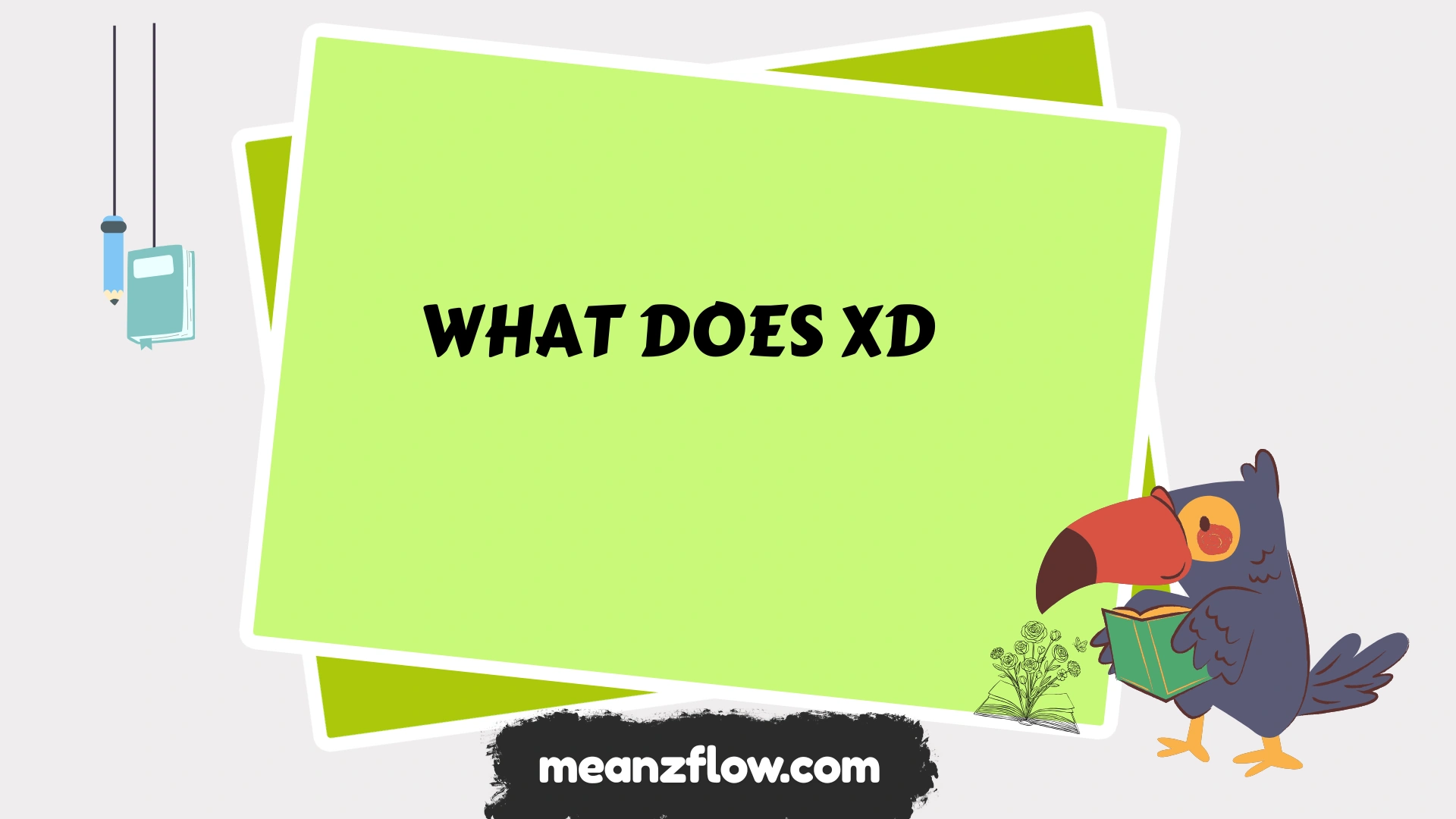 what does xd