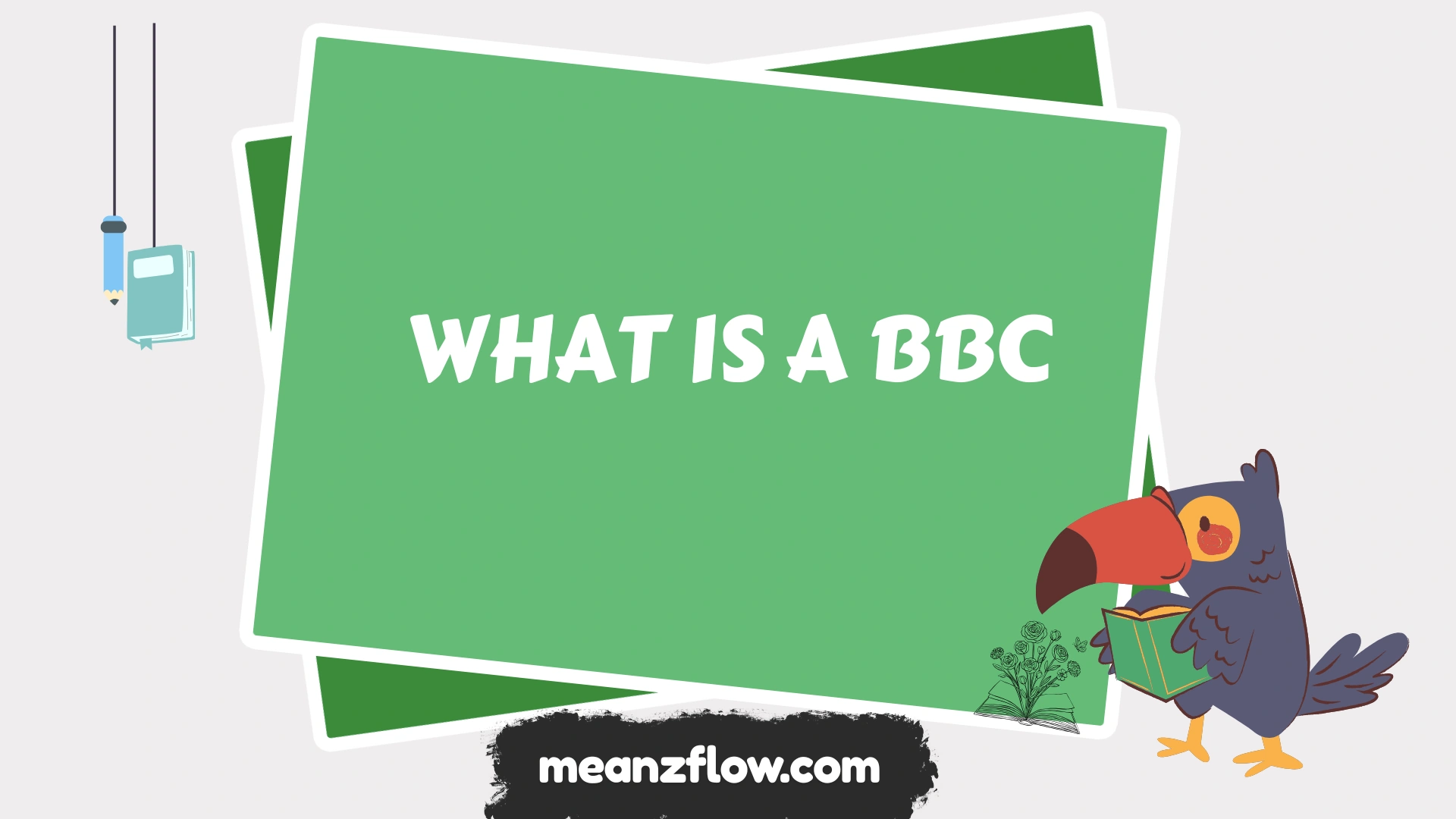 what is a bbc