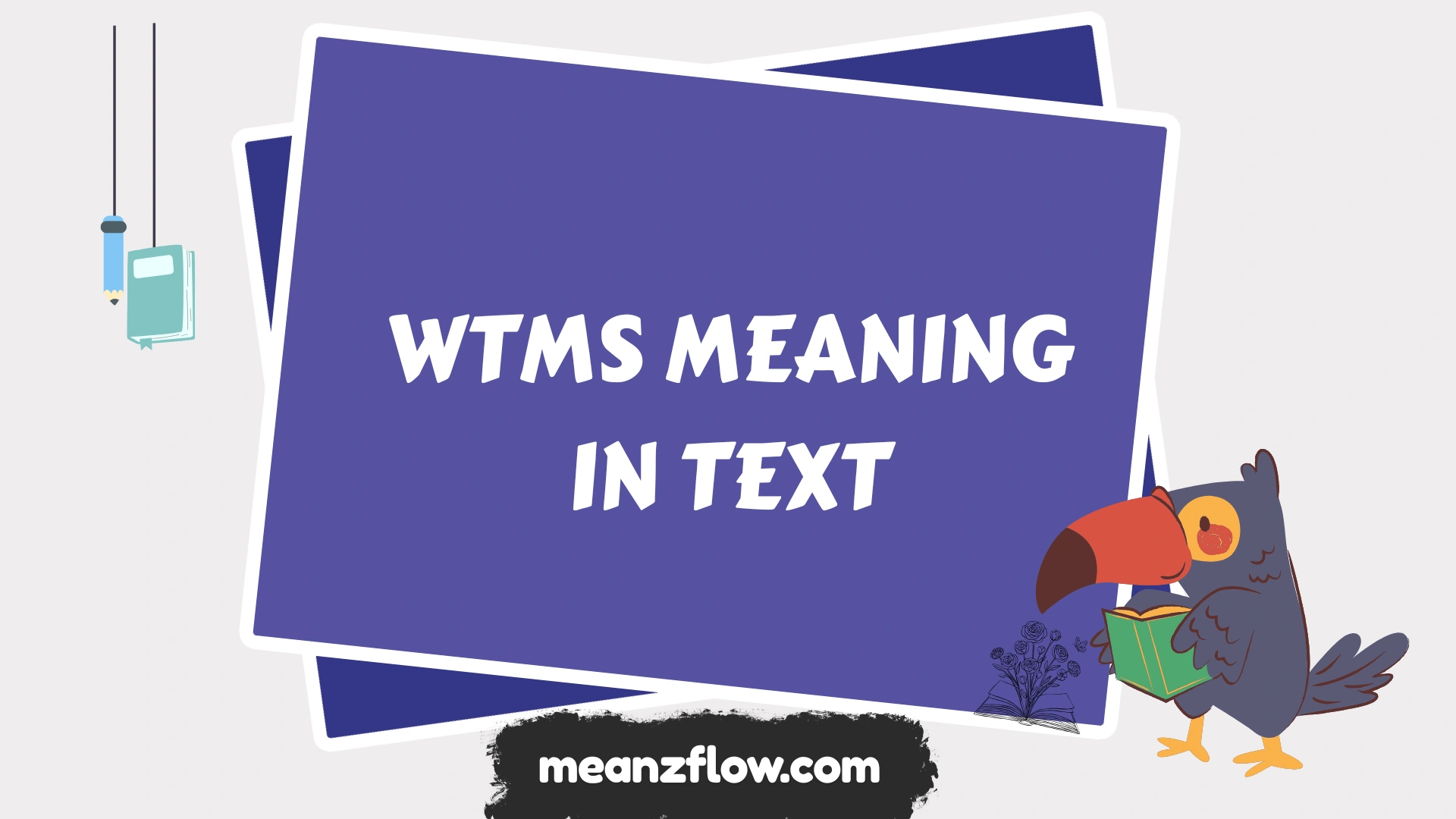 wtms meaning in text